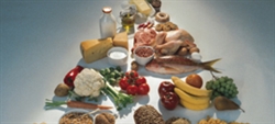 Pirámide alimenticia