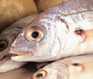 Pescado: una guía para comprar bien
