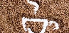 Café soluble: guía de compra