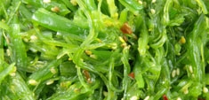 Recetas de algas
