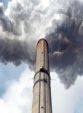Contaminantes persistentes: veneno en casa