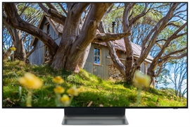 SAMSUNG QE48S90F SAMSUNG QE48S90F