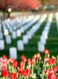 Los españoles gastamos cada año más de 1.200 millones de euros en servicios funerarios