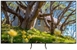 SAMSUNG TQ55S85D SAMSUNG TQ55S85D