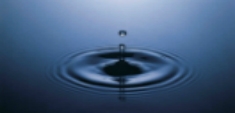 Día del Medio Ambiente: ahorremos agua