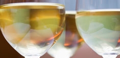 Vinotecas: por qué y para qué