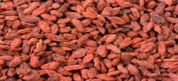 Las bayas de Goji pueden ser tóxicas