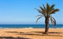 Disfruta de la playa