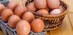 Huevos