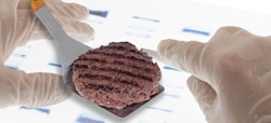 Hamburguesas