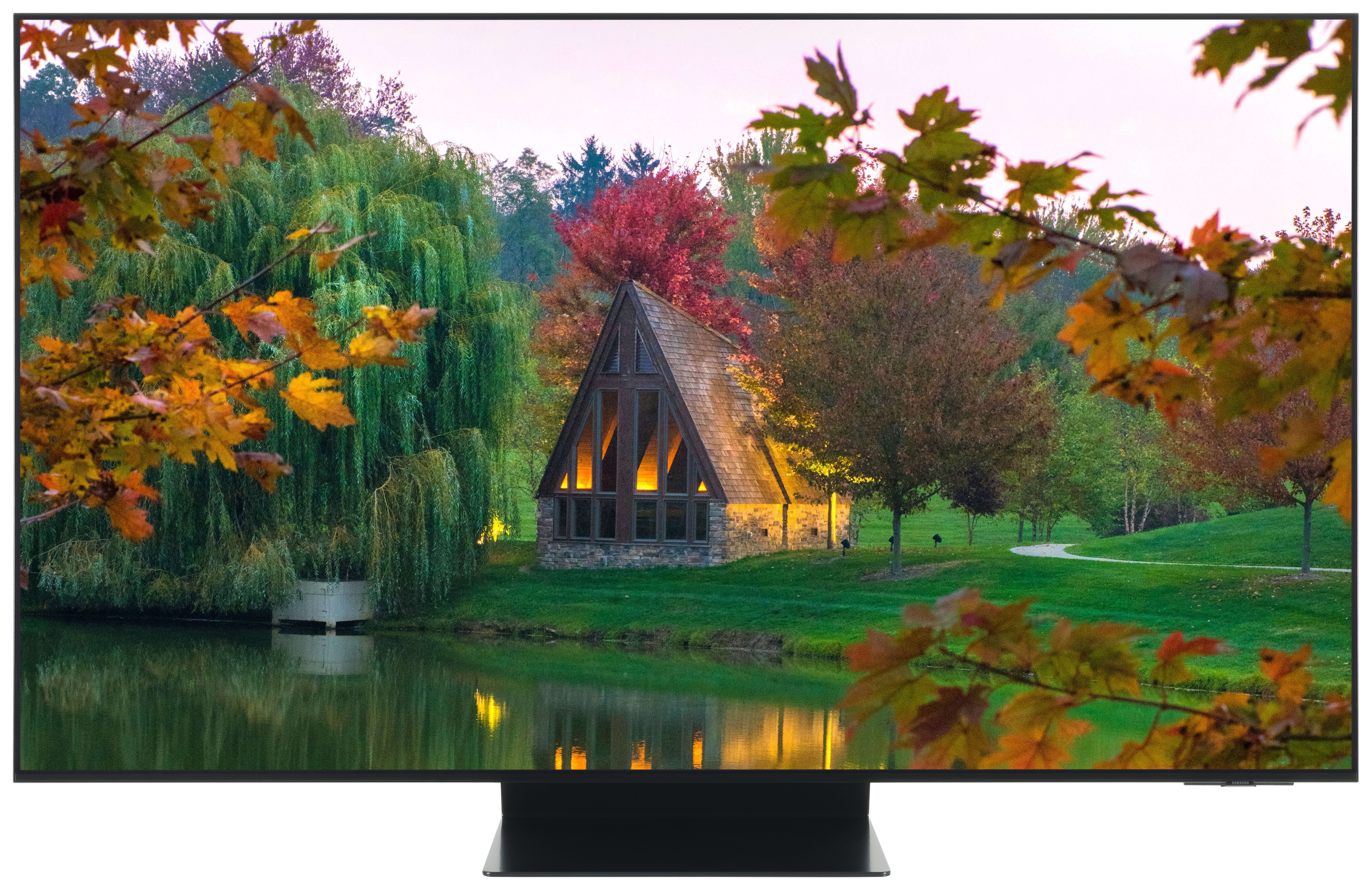 SAMSUNG QE55S95F
