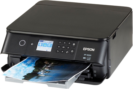 EPSON EXPRESSION PREMIUM XP-6000