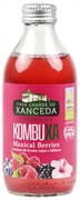 CASA GRANDE DE XANCEDA KOMBUXA MAXICAL BERRIES