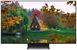 SAMSUNG TQ55S90D