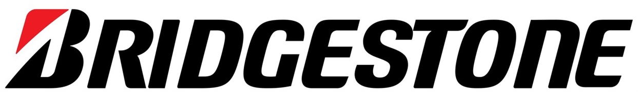 BRIDGESTONE www.bridgestone.es