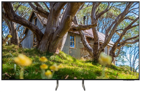SAMSUNG TQ55S85D