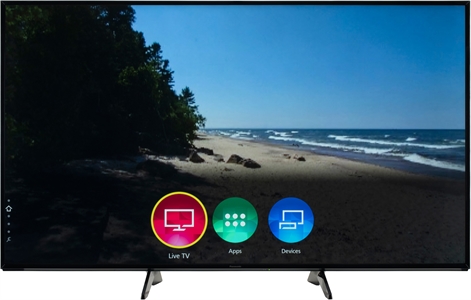 PANASONIC TX-65FX600E