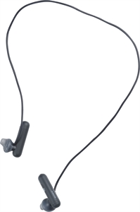 SONY WI-SP500