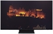 SAMSUNG TQ55S93H