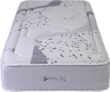 FLEX WBX300