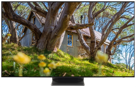 SAMSUNG QE65QS95B
