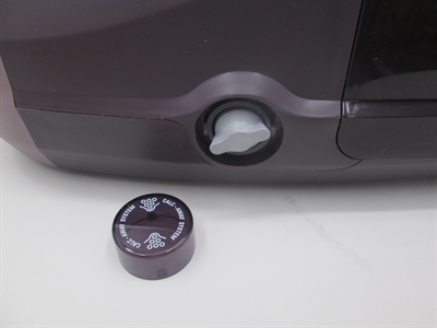 ROWENTA DG8531 PERFECT STEAM EXTREME