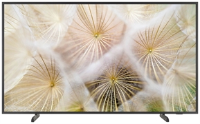 SAMSUNG TQ50LS03D